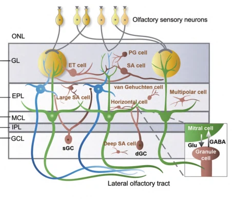 info-456-388 info-456-388