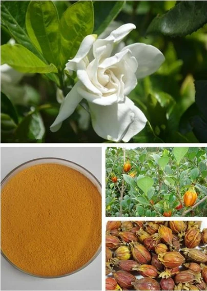 product-404-568