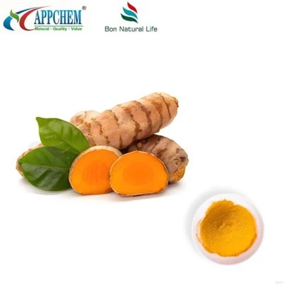 커큐민 분말 HPLC95%; 커 큐미 노이드; 심황 추출물