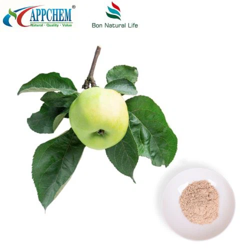 화장품 성분 플로레틴 60-82-2