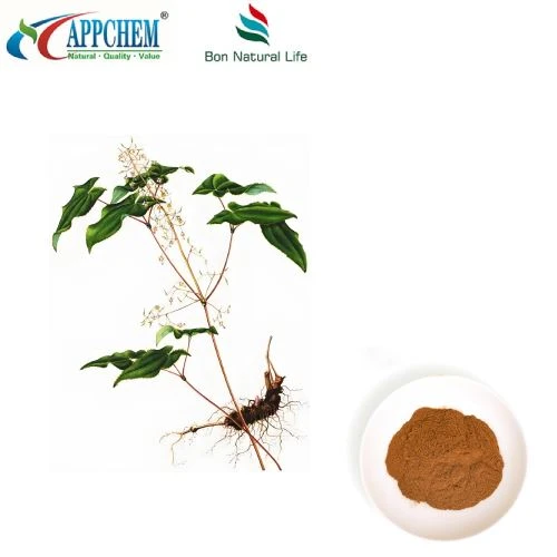 Epimedium 추출물 분말