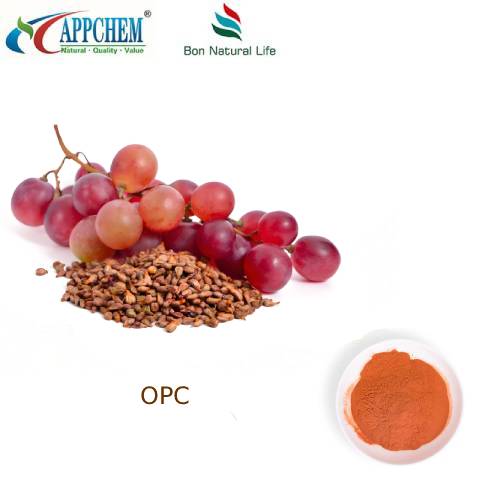 포도씨 추출물 95 OPC