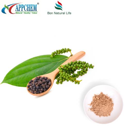 Ligustrum 과일 추출물 분말