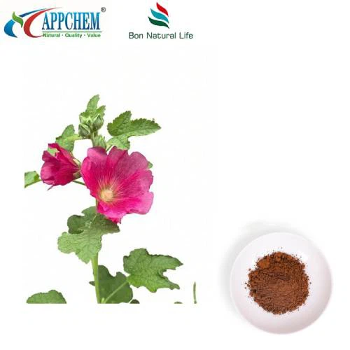 마시멜로 잎 추출물