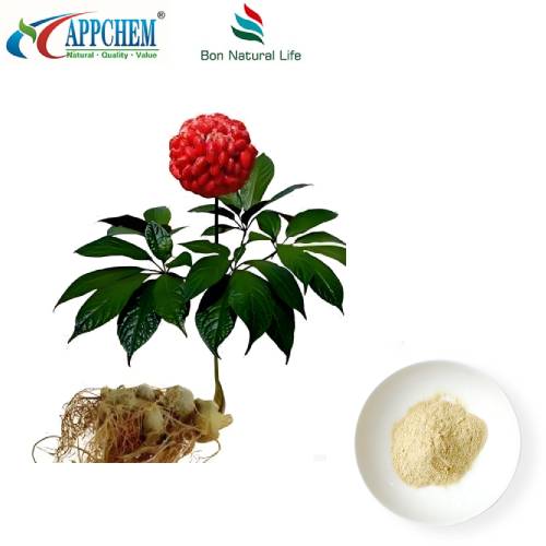 Notoginseng 뿌리 추출물
