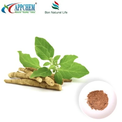 Ashwagandha 추출물 분말 (Withanolides) 제조 30655-48-2