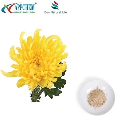 Flos Chrysanthemi 추출물 분말