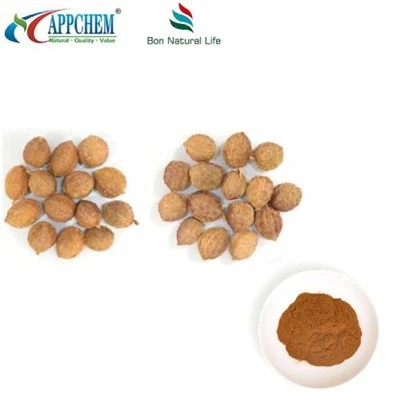 Fructus Amomi 추출물
