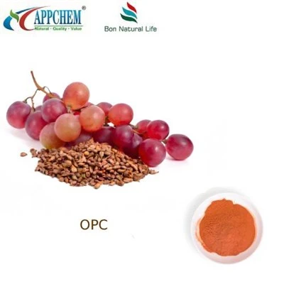 포도씨 추출물 95 OPC