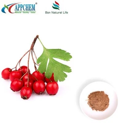 산사나무 잎 추출물