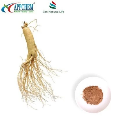 Panax 인삼 추출물 분말