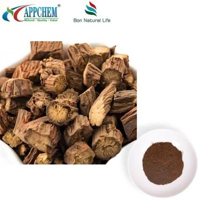 Salvia Miltiorrhiza 추출물 분말