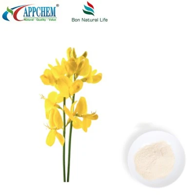 Thermopsis lanceolata R.Br 추출물; 세포질 HPLC98% 분말 485-35-8